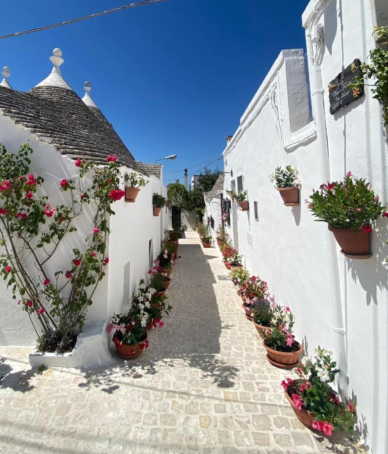 Trullo "Vicolo Fiorito" Villa Alberobello Dış mekan fotoğraf