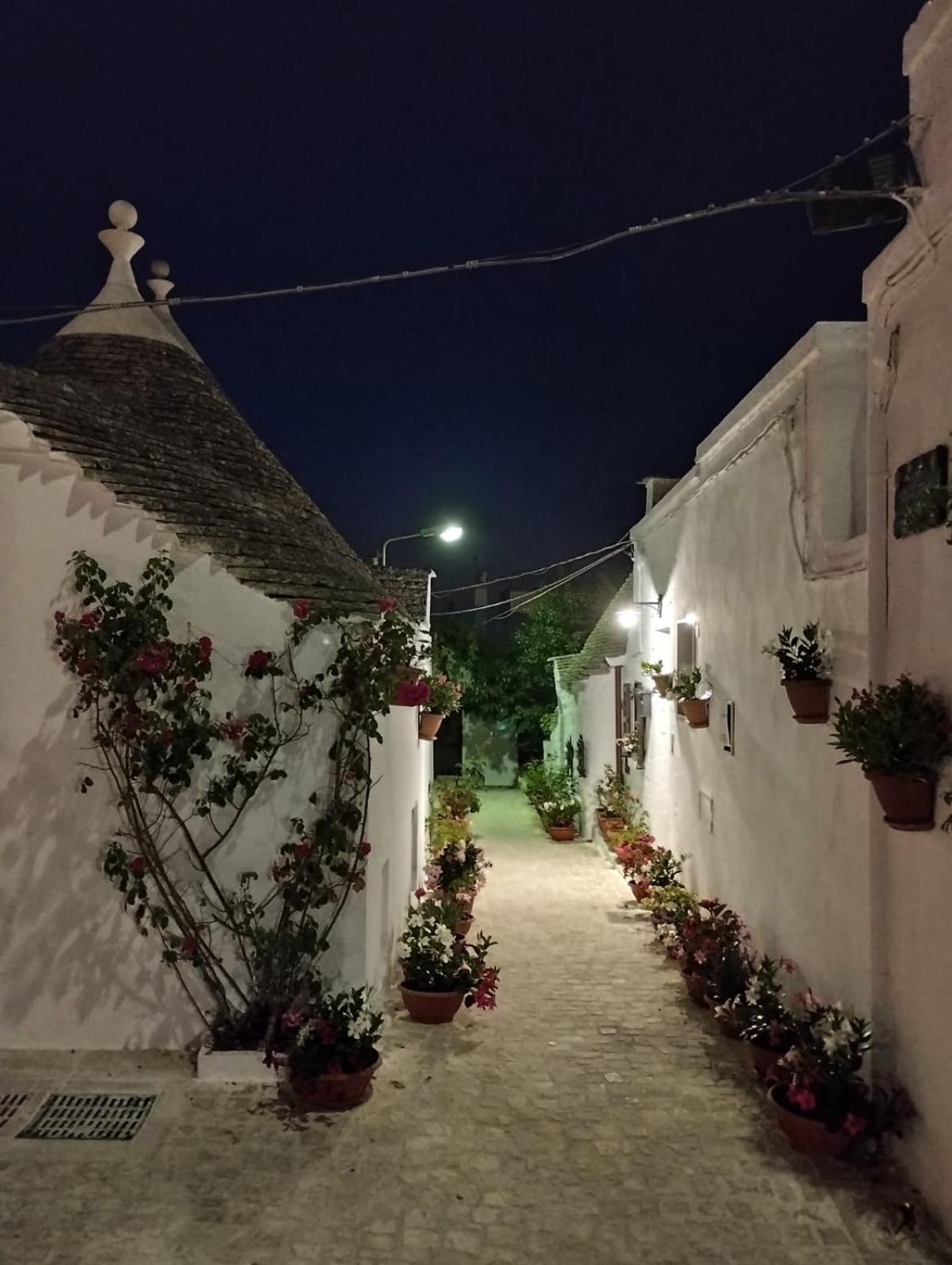 Trullo "Vicolo Fiorito" Villa Alberobello Dış mekan fotoğraf